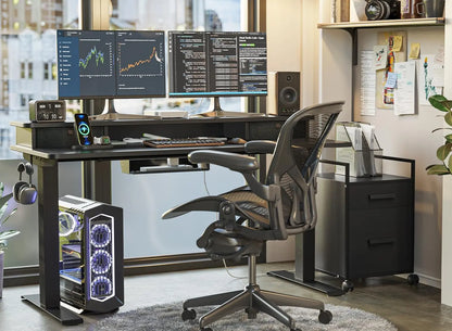 FEZIBO 55 X 24 Inch Height Adjustable Electric Standing Desk with Double Drawer, Stand up Home Office Computer Desk with 4 Height-Adjustable Feets & 2 Hooks, Black
